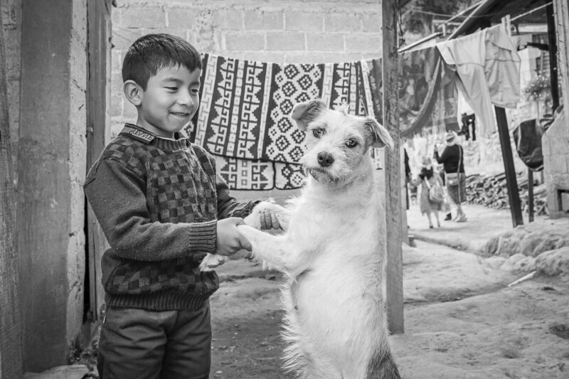 Guatemala-Child-dog-1