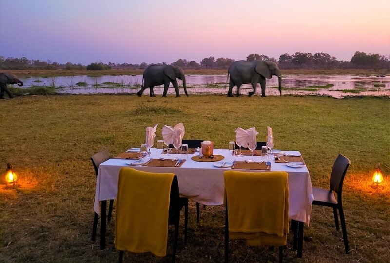 Dining outdoors on safari watching elephants walk past