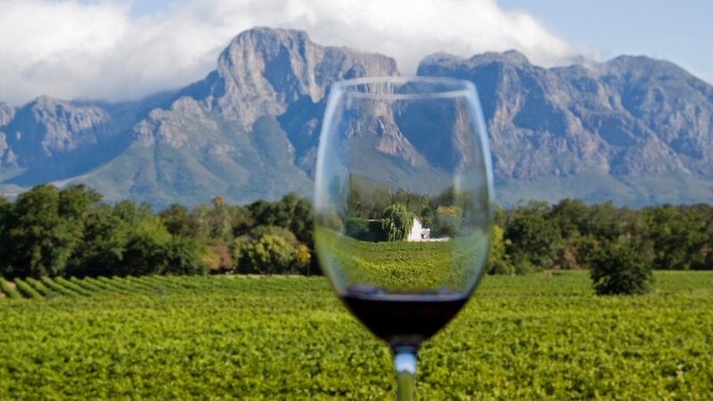 cape-winelands