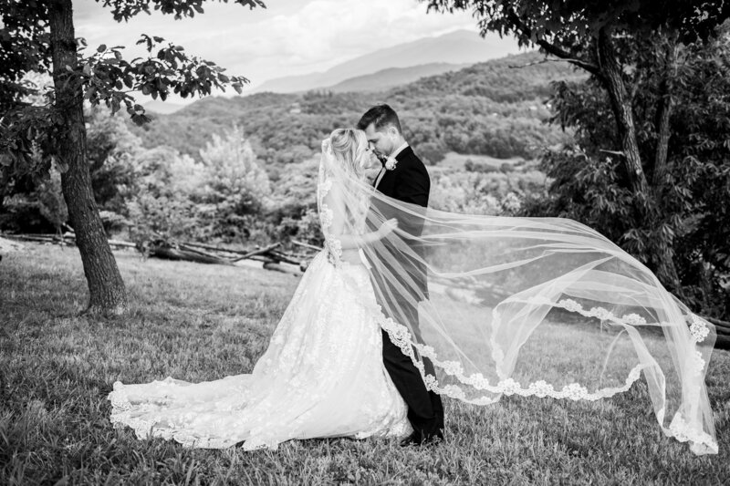 Smoky Mountain Wedding Photographer | Knoxville Photographer