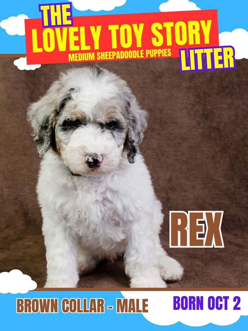 Toy Story - Brown Rex Male