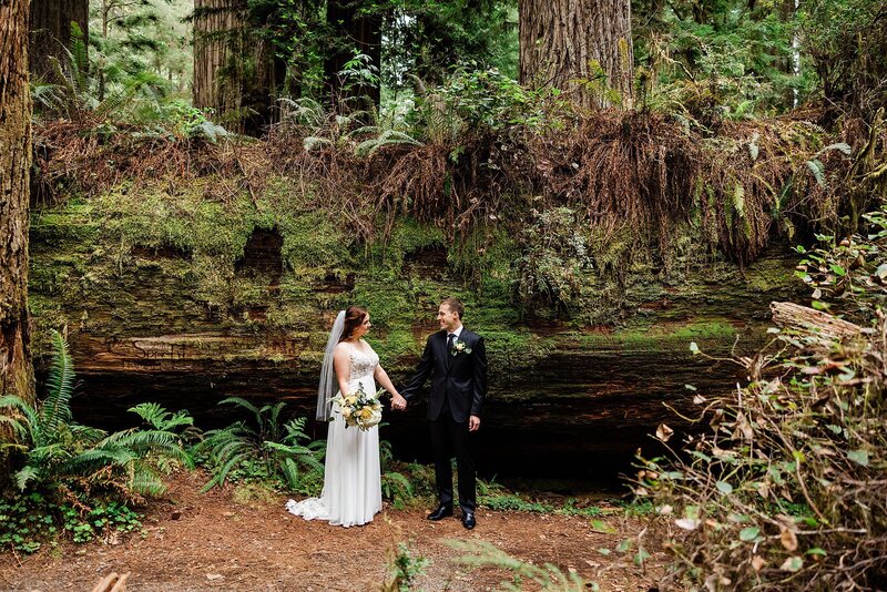 A bride and groom stand in front of a moss covered log and hold hands in Redwood National Park.