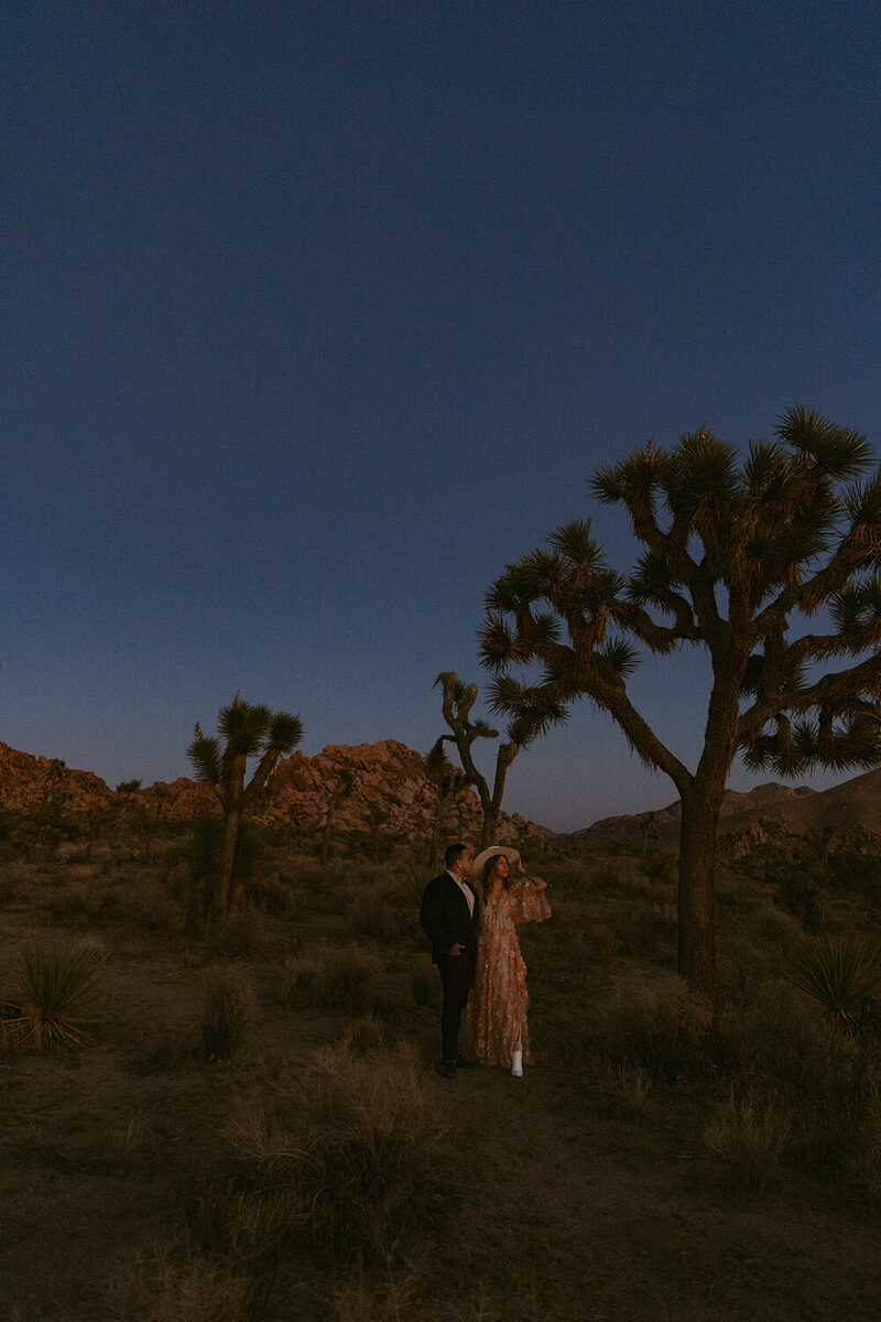 joshua-tree-california-couples-session-0498