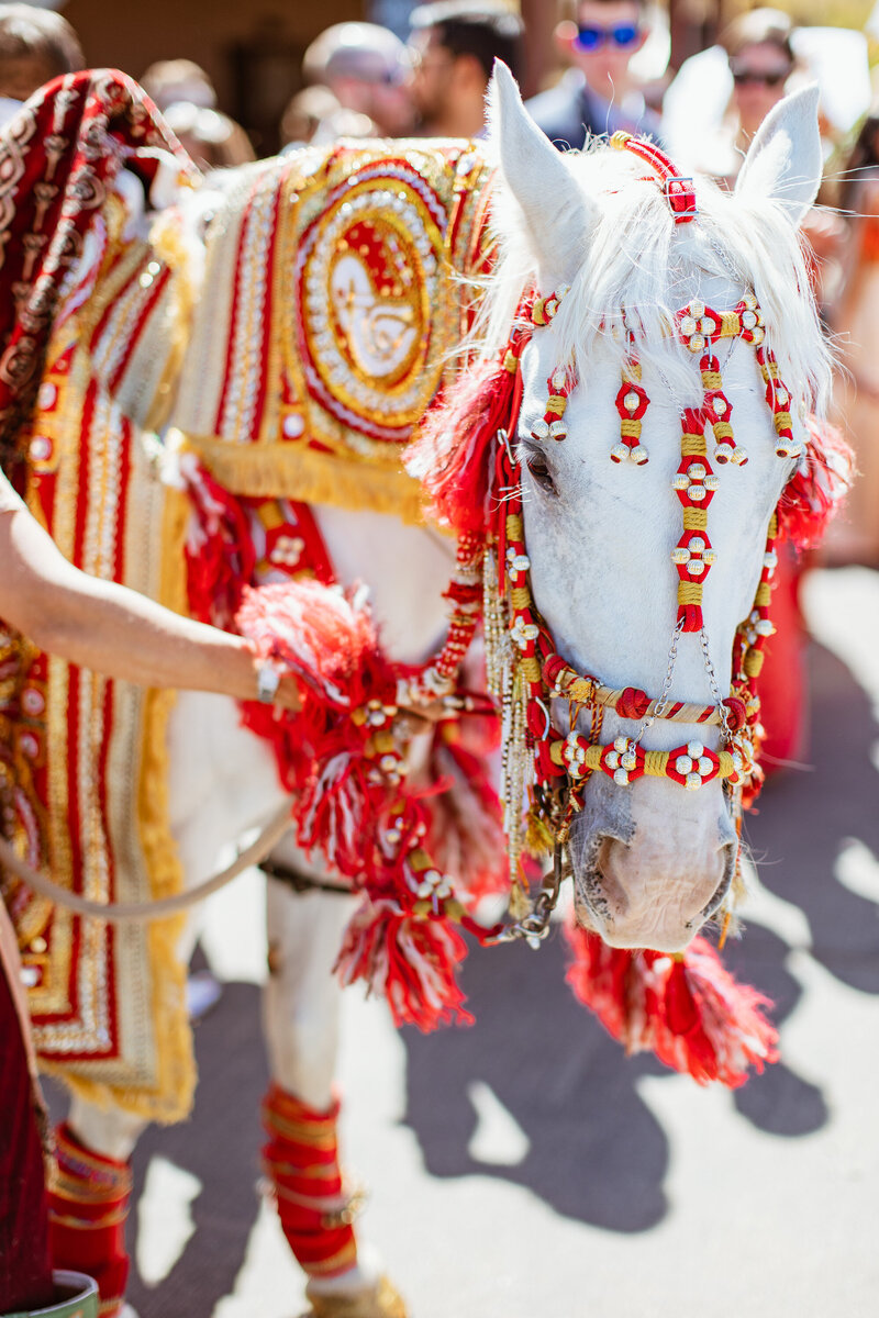anuj-rose-wedding-colorado-60230