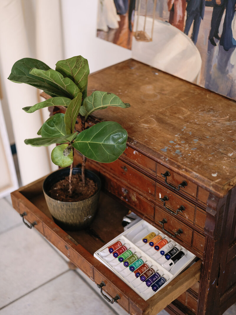 Large wooden box holding paints & fig tree in Stephanie Gaffney's New Orleans art studio