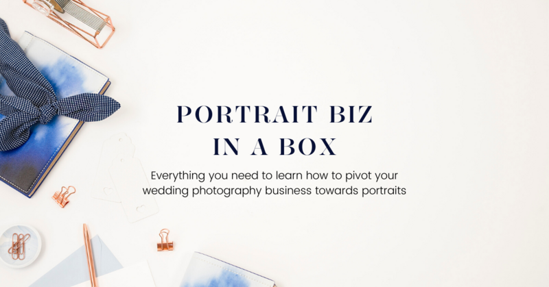 Portrait Biz In A Box by jenny demarco education