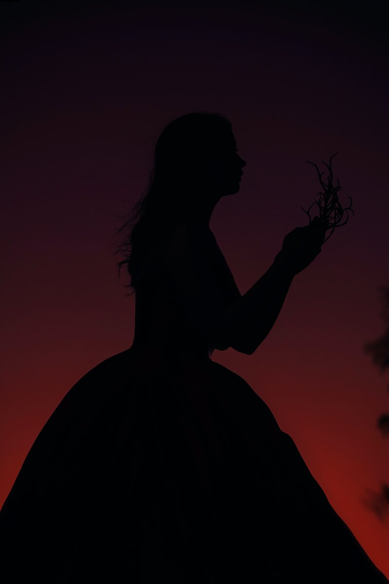 miguel-gonzalez-gHrKZs-ht2I-unsplash