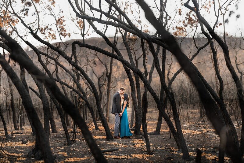 Couple sharing a moment in a burned forest of trees during their engagement session.