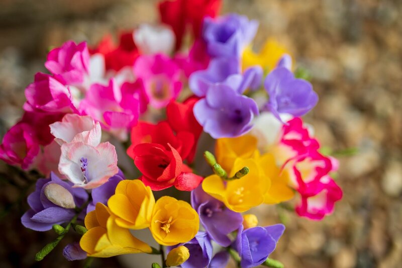 Spring Flowers