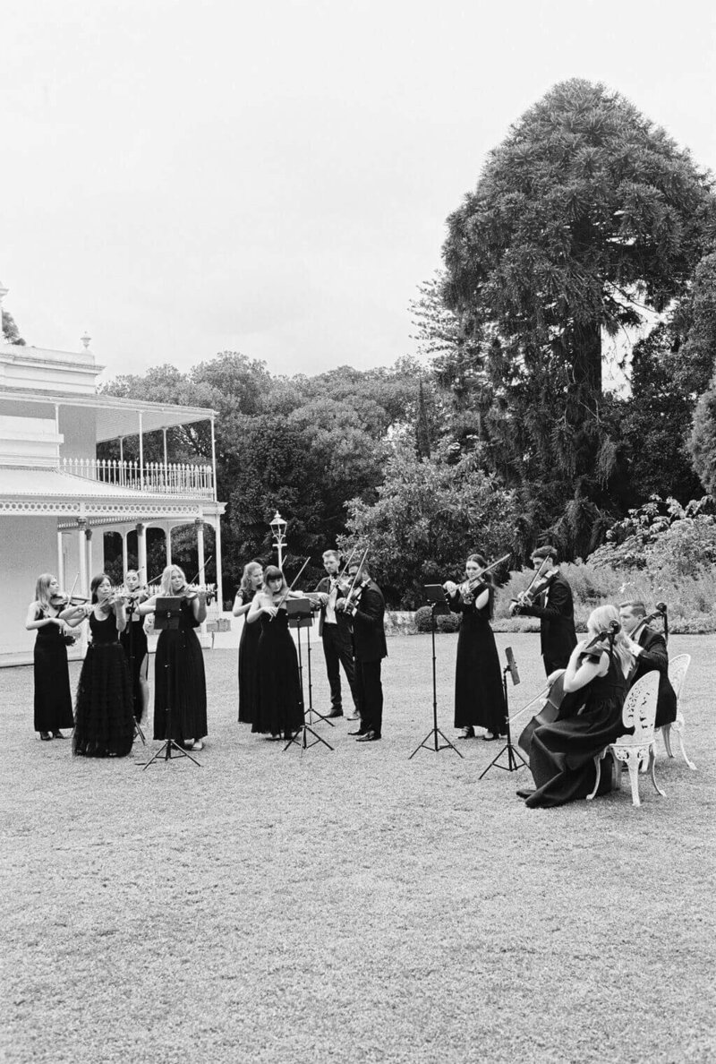 String Orchestra Melbourne
