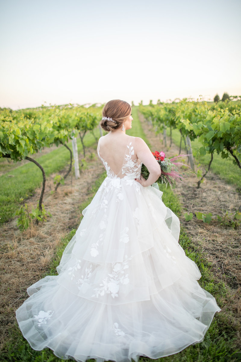 Beautiful bride in wedding gown looks out over the vineyard at Providence Vineyard in Hebron