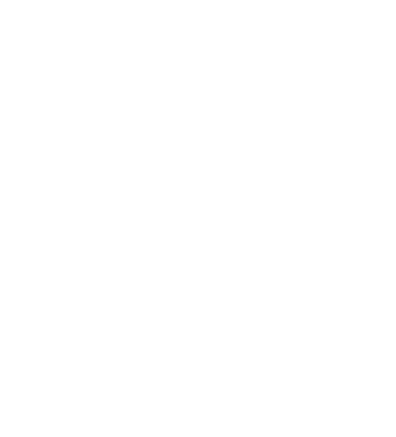 Chad Nash Ph.D logo with the letters CN in monogram format
