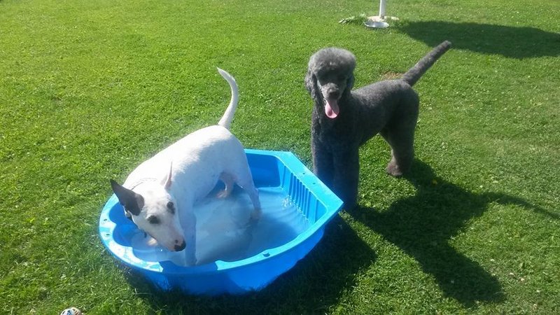 water-spelen