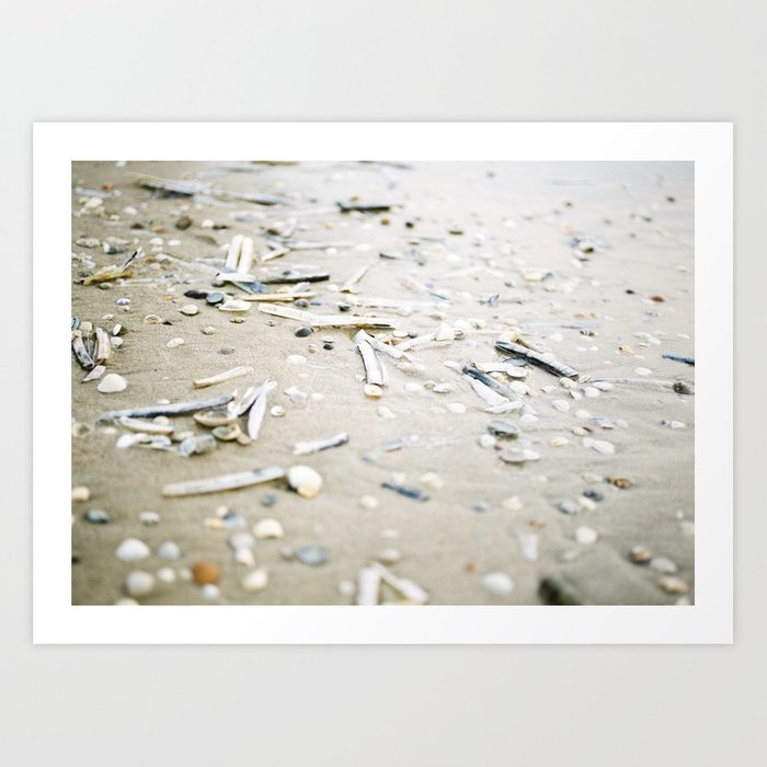 sea-shells-coastal-beach-photography-film-photo-fine-art-print-prints