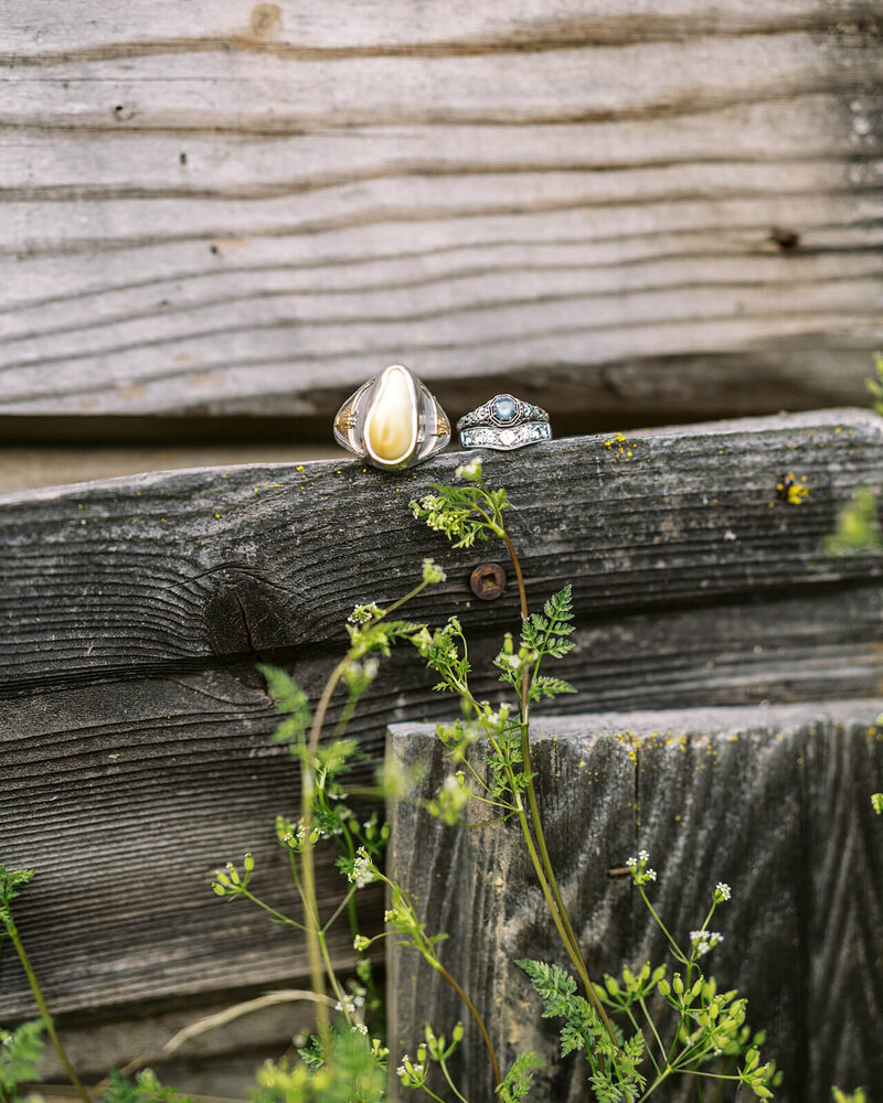 Wedding rings sitting on a wooden log.