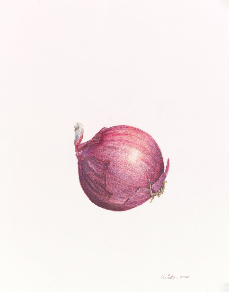 gallery - drawings _Red Onion_small