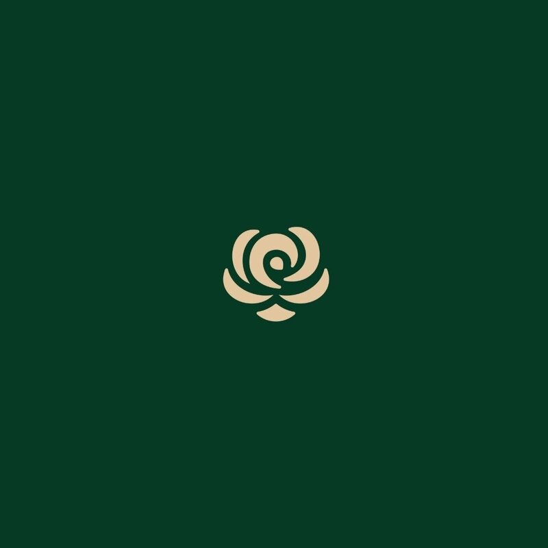Brand design for a coaching business