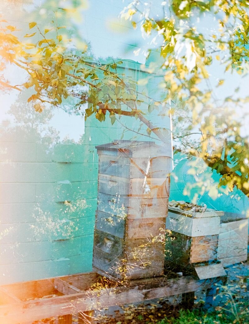 Full-Res---Savannah-Bee-Co.-21-of-34