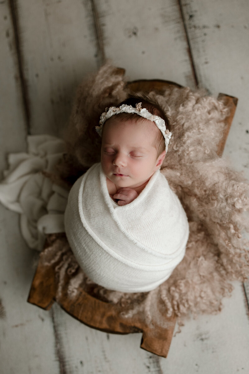 newborn neutral colors