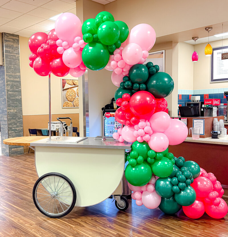 balloons-bismarck-nd-118