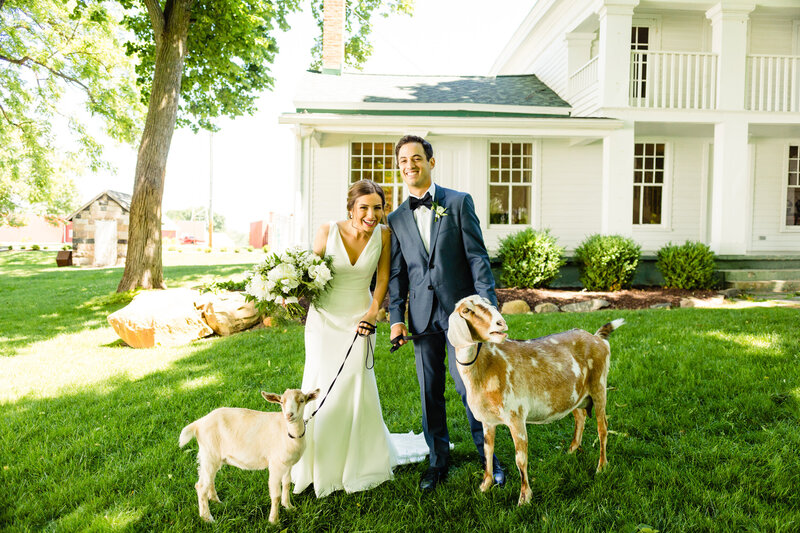 Wedding couple posing with goats at the farmhouse at Cornman Farms in Michigan