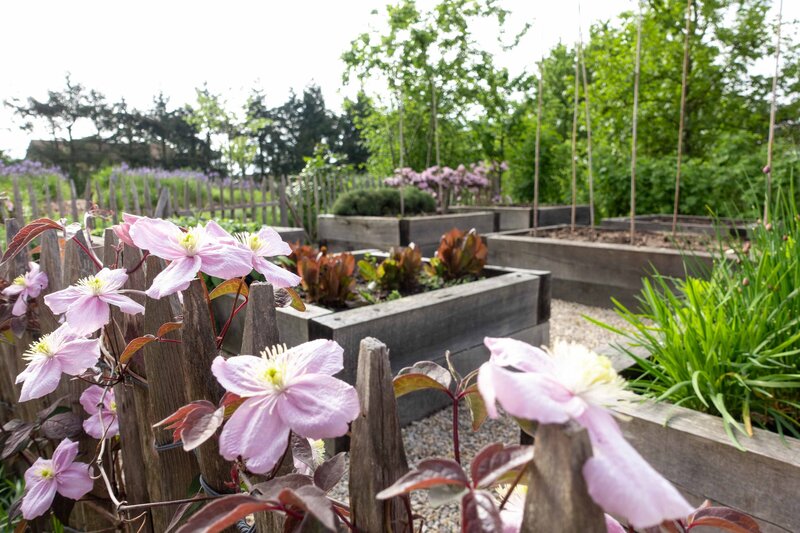 Horus paysages_Stanislas JUNG-7