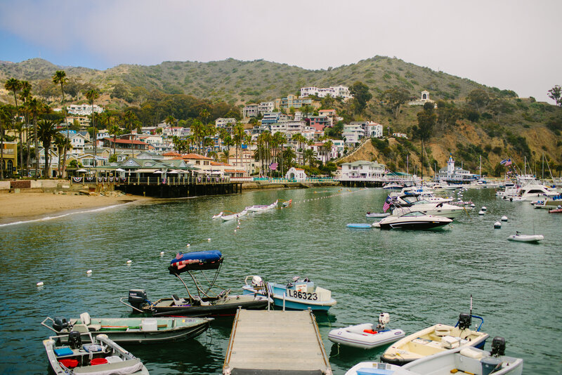 boats in bay and houses built on the cliff in the city of avalon california