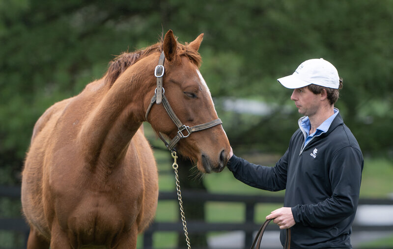 Headley VanMeter with a Thoroughbred horse.