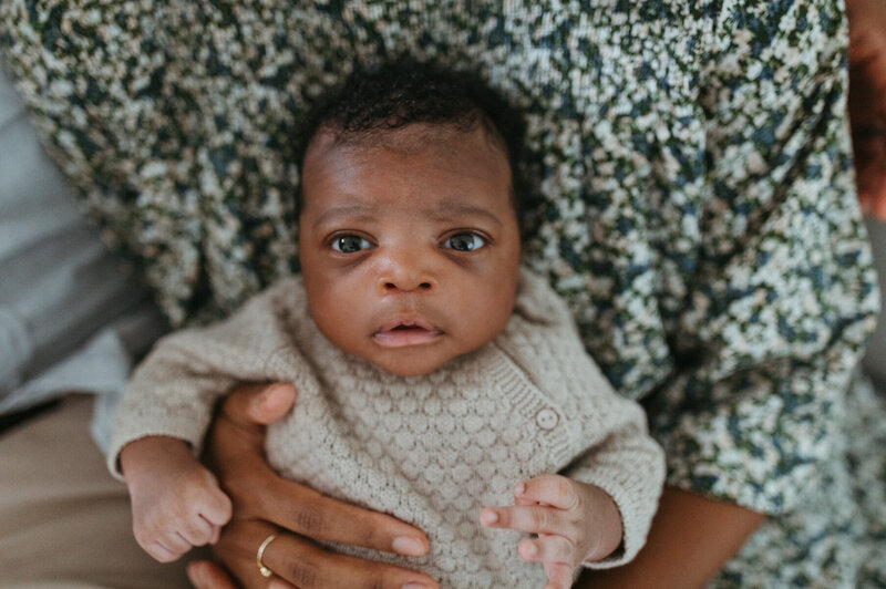 Belmont newborn photographer