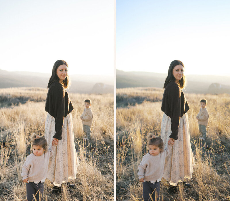photography editing course steal my edits-1