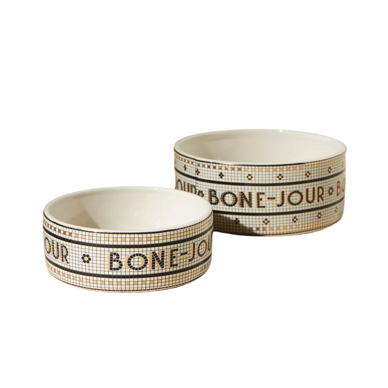 bone jour dog bowls