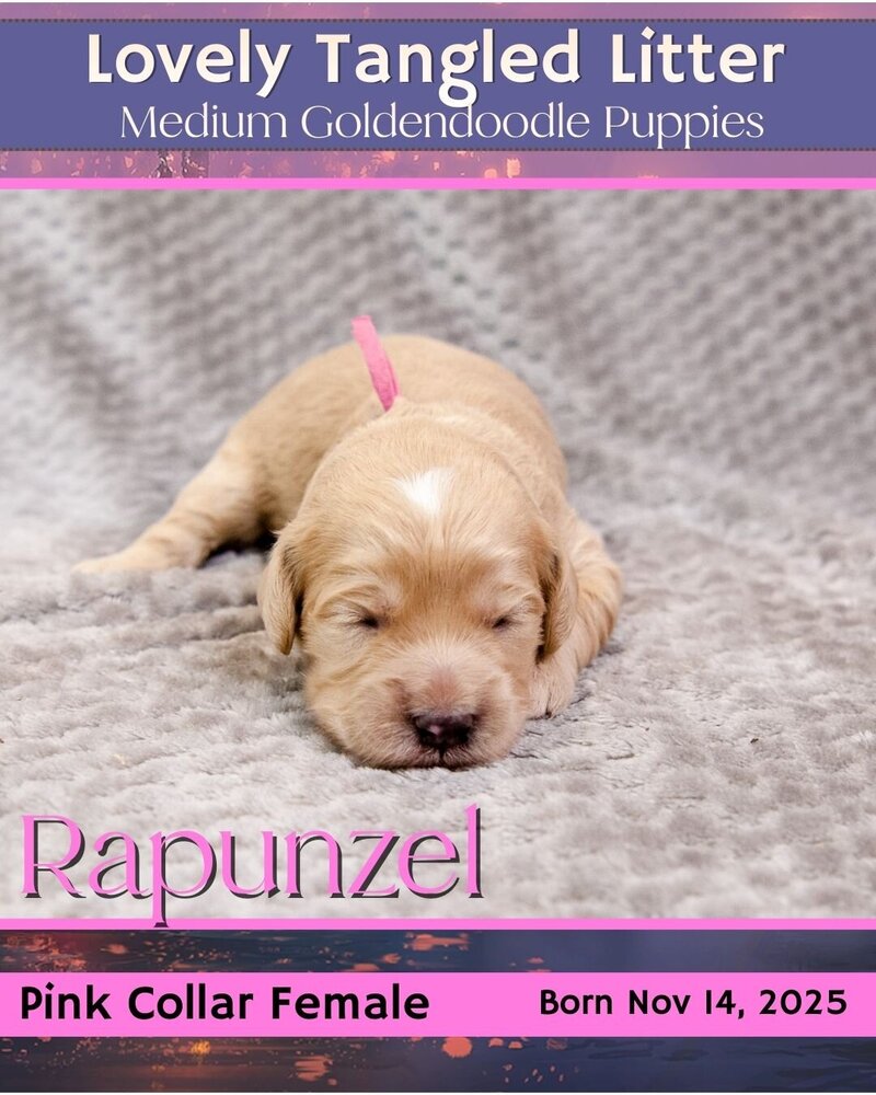 Tangled - Pink Rapunzel Female