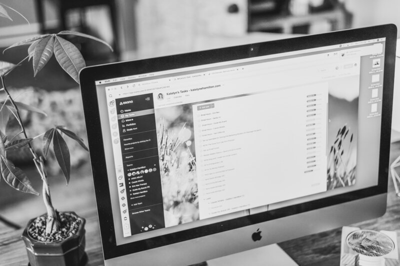 how to set up SOPs