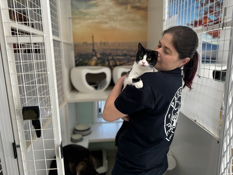 Cattery Toowoomba