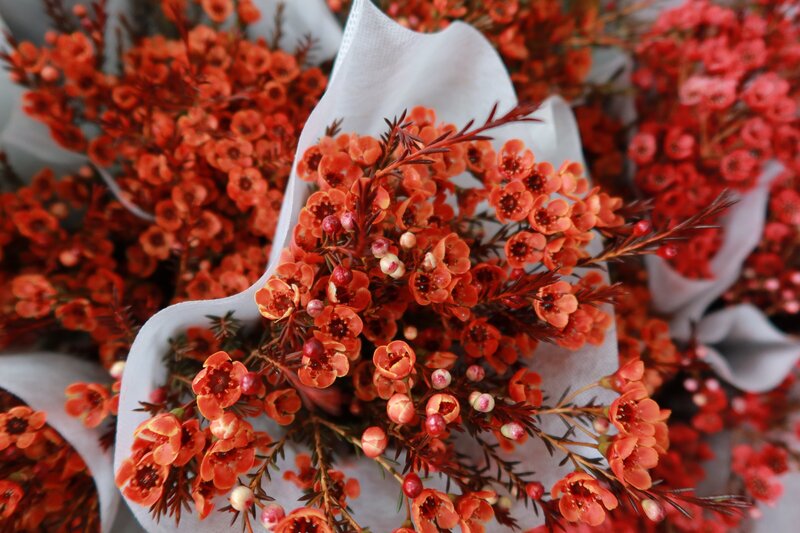 sebastian-doll-Y-qX4j9HzEY-unsplash