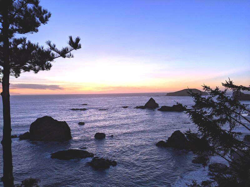 Sunset view of the pacific ocean with tree in foreground