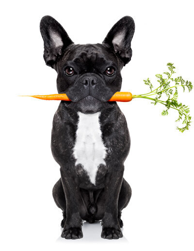dr-marie-dog-food-carrot