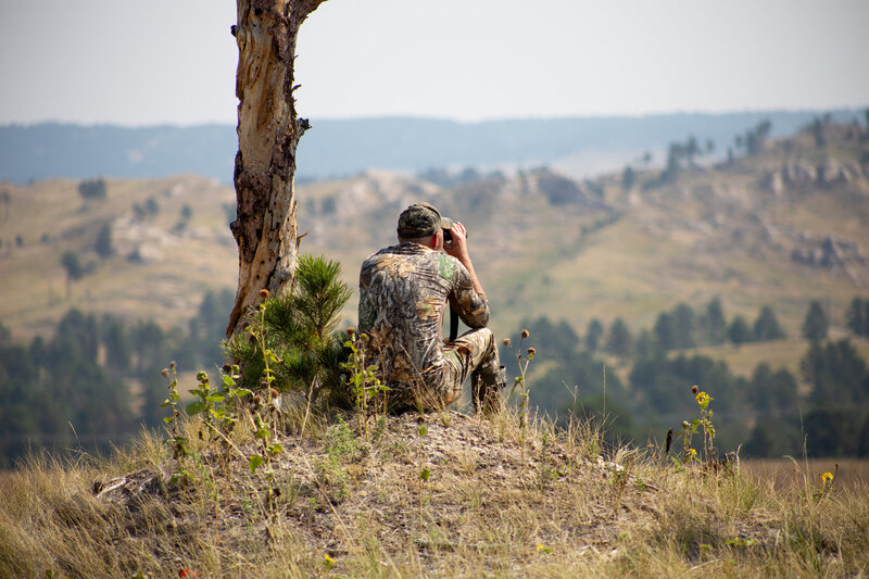 Scouting for mule deer