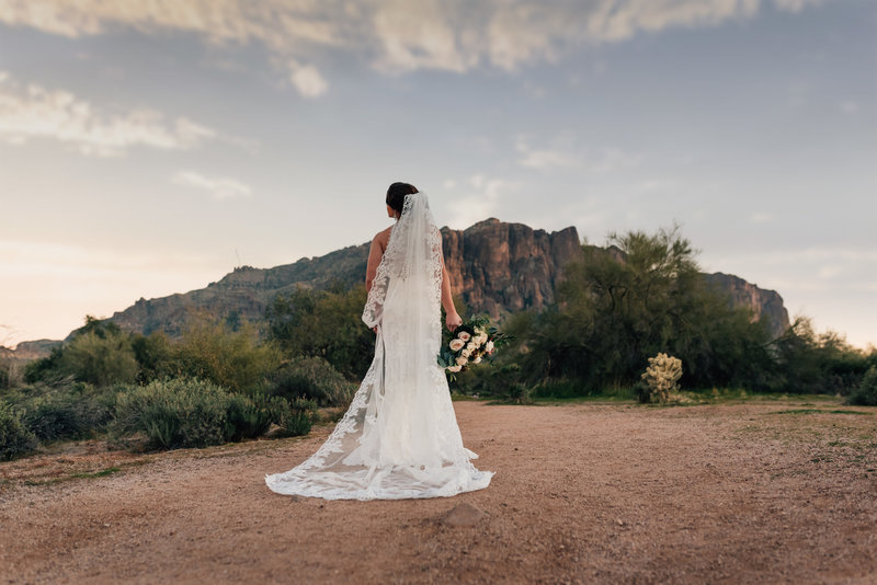 Arizona Bride