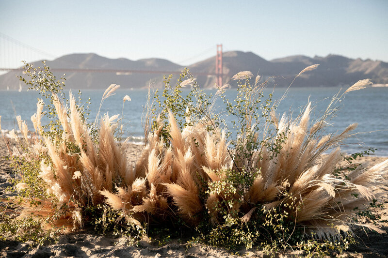 larissa-cleveland-san-francisco-intimate-wedding-lally-events-crissy-field-palace-of-fine-art-019