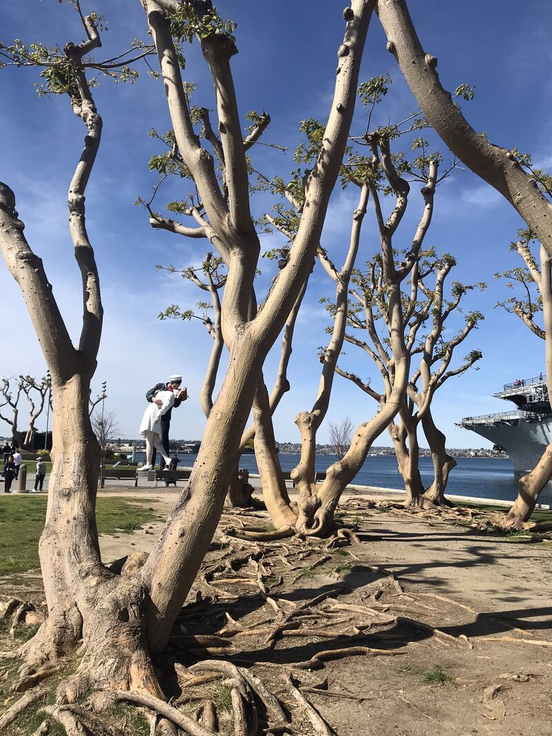 trees by the ocean in San Diego, image taken by Caroline Amelie