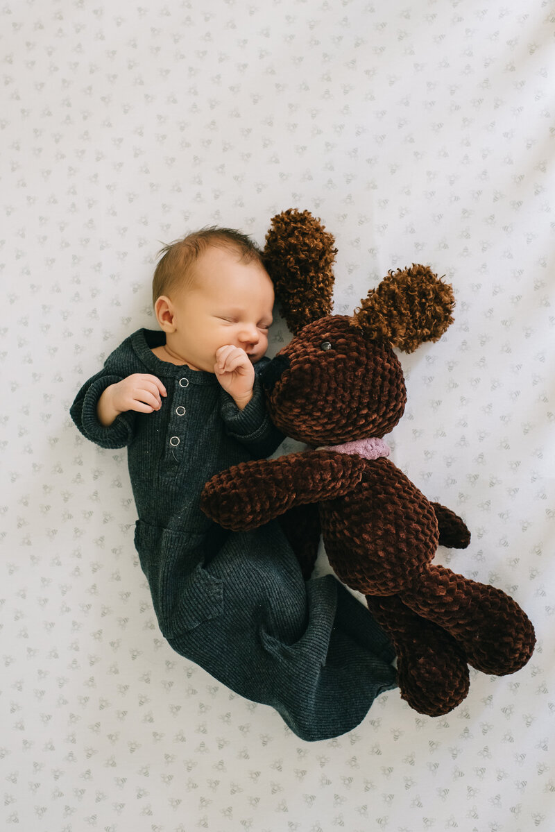 Newborn Photographer Aiken SC Newborn Photography Aiken SC Newborn photographer Augusta GA Newborn Photography Augusta GA Baby