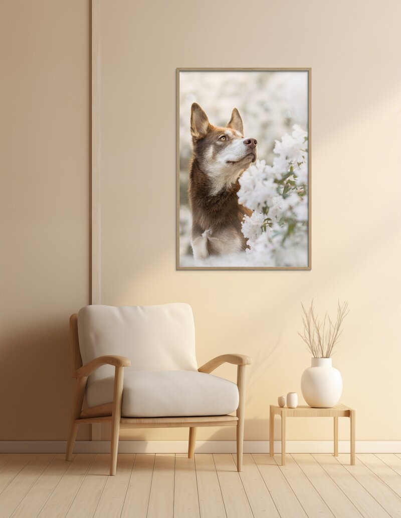 dog wall decor