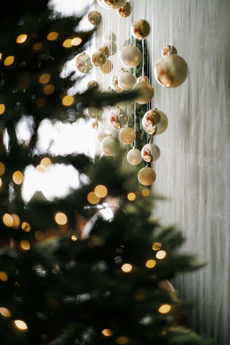 boston-holiday-minis-ana-pavesi28