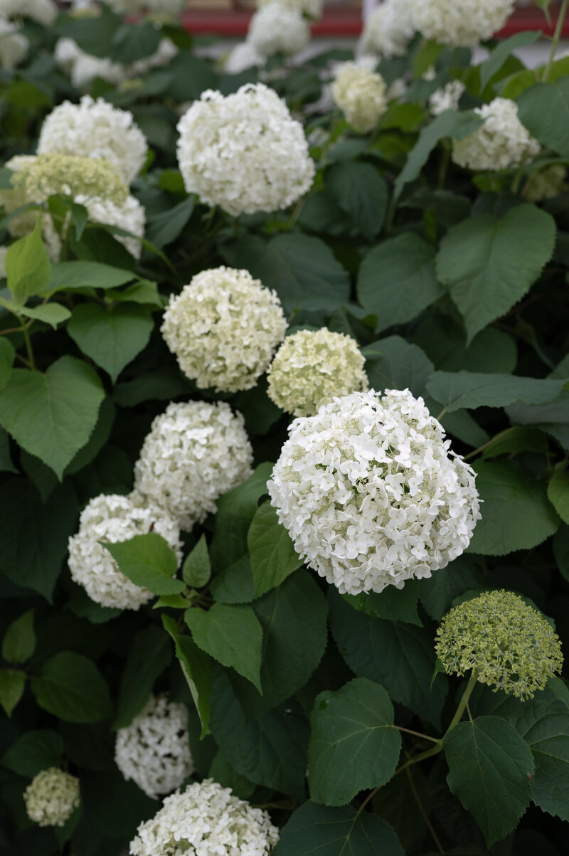 details from Milwaukee Wisconsin intimate wedding