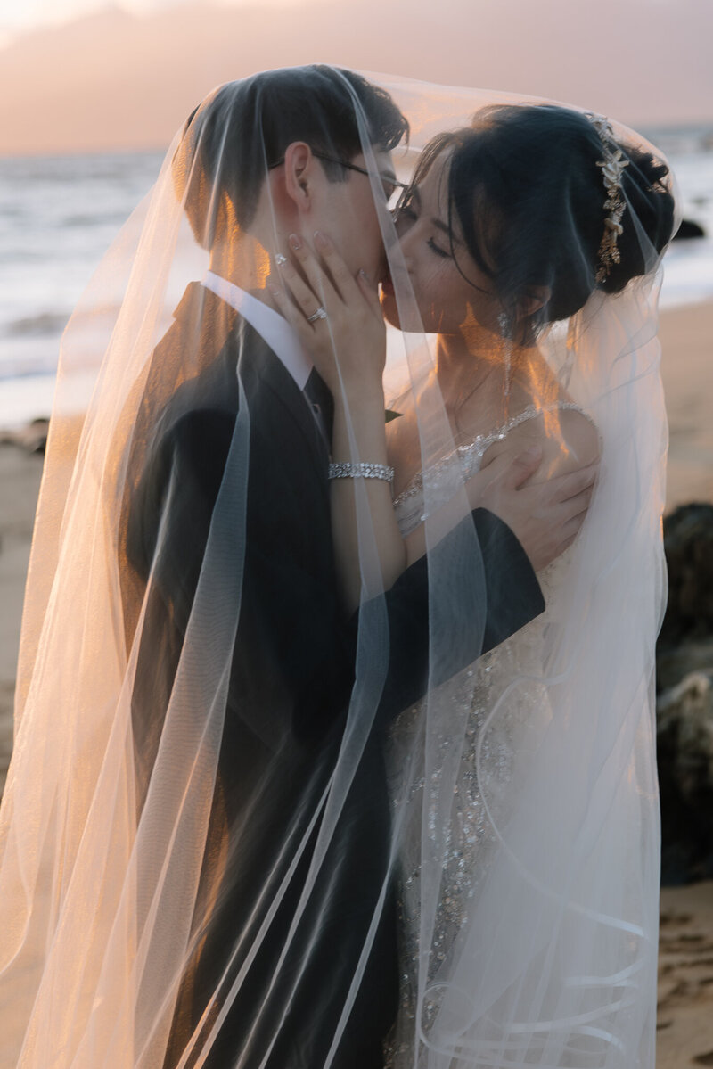 Luxury Bride and groom