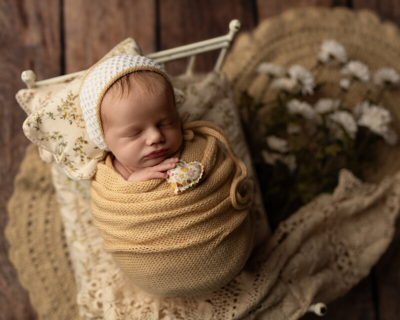 Handcrafted vintage props and rustic newborn photography setups create warm and timeless portraits. Capture your little one's early days in earthy tones.