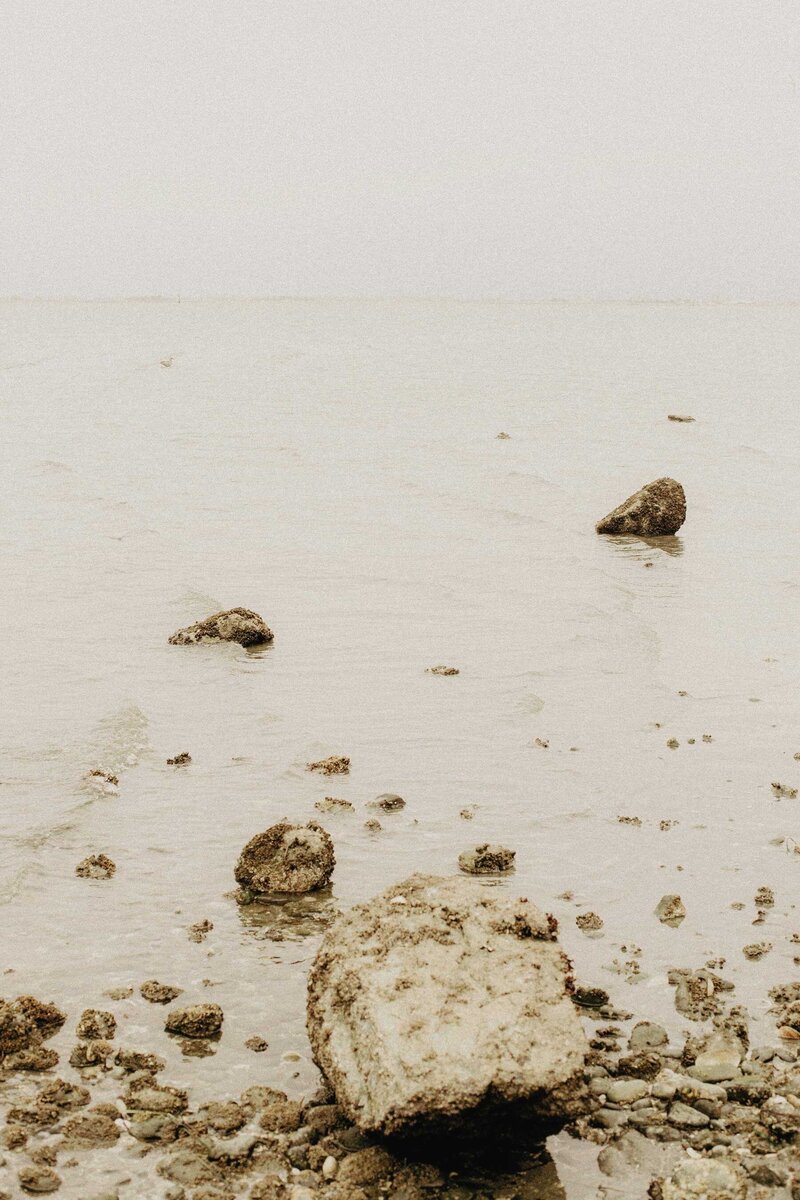 Ocean and rocks
