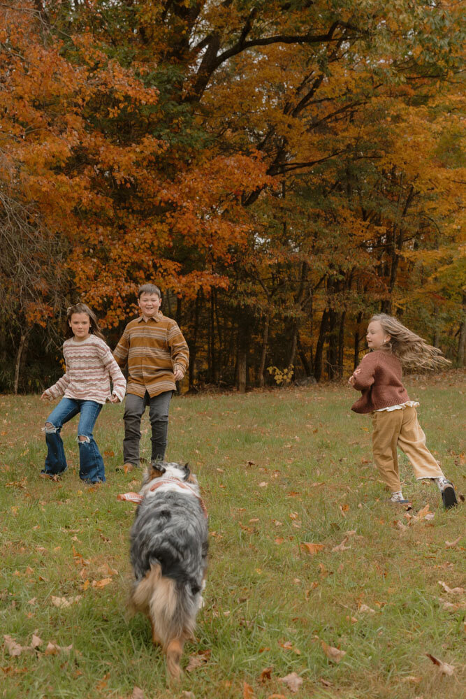 A family session in Jonesborough, TN at Forty Acres Farm. A family stands on a farm  Northeast, TN Lifestyle Family Photographer. 