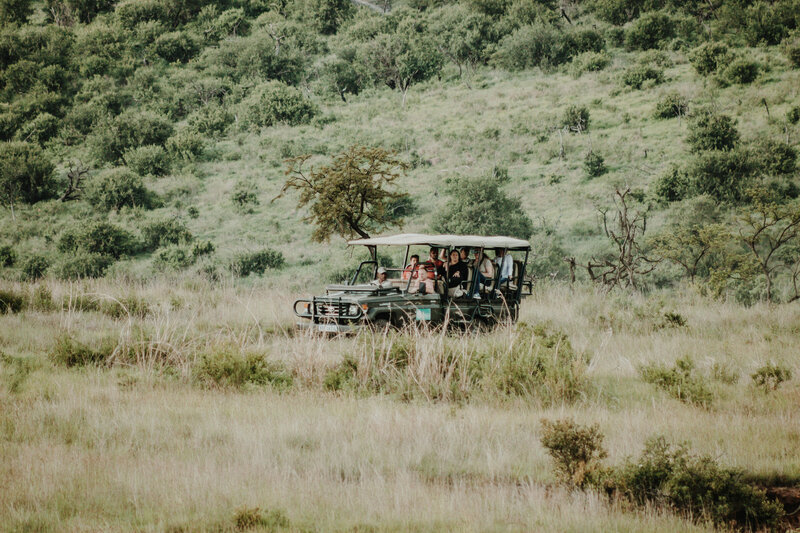 Big Five safari tours